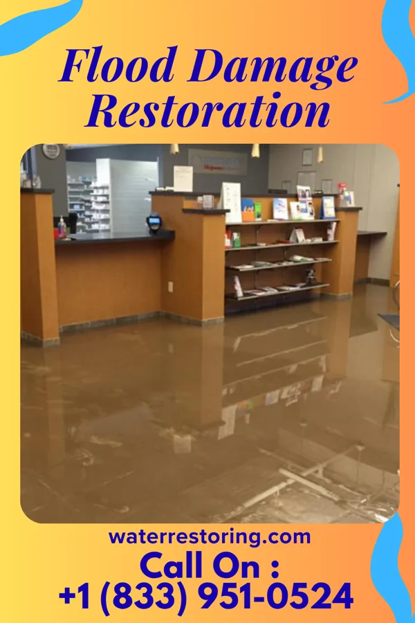 Flood Damage Restoration in Orient, IL