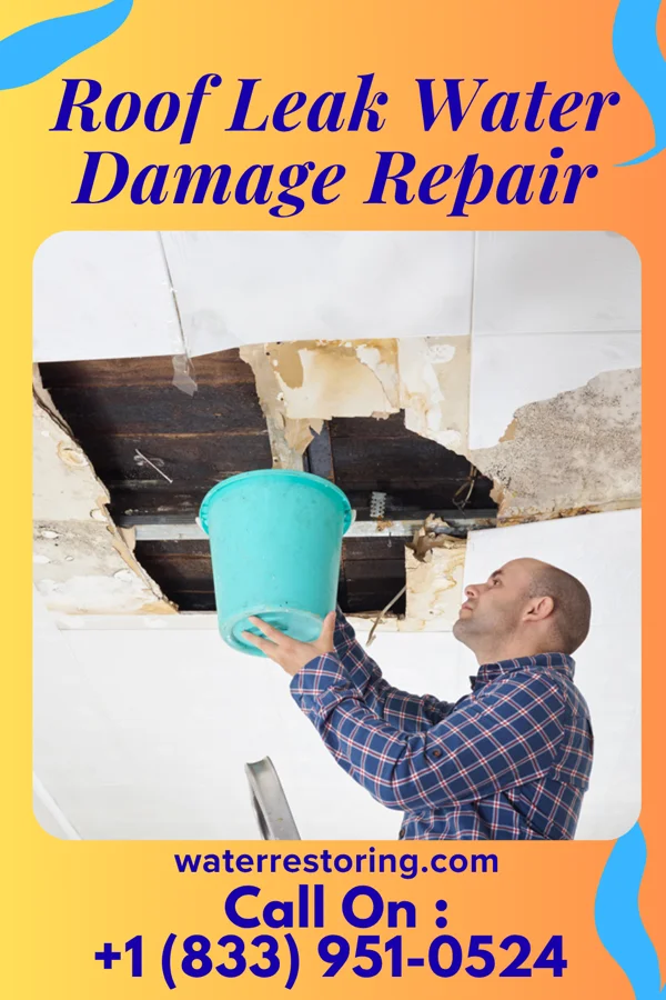Roof Leak Water Damage Repair in Orient, IL