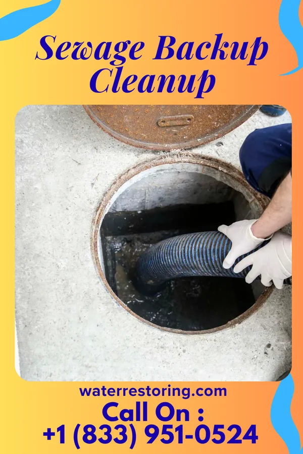 Sewage Backup Cleanup in Orient, IL
